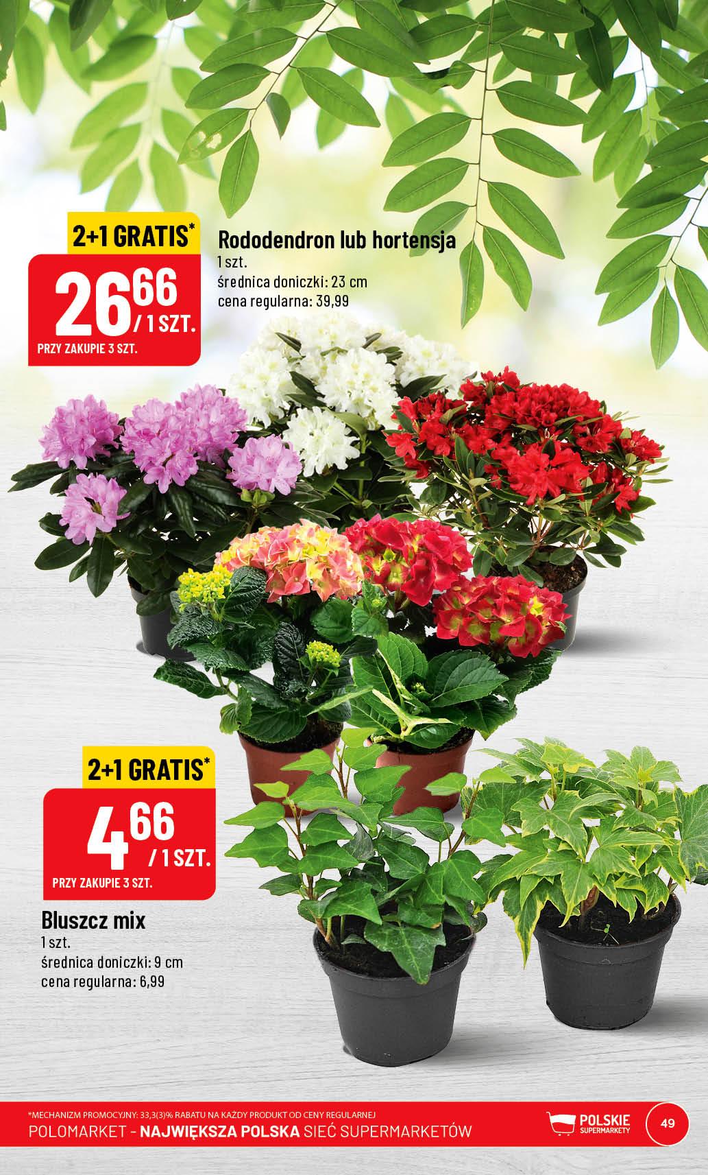 Gazetka promocyjna POLOmarket str. 49