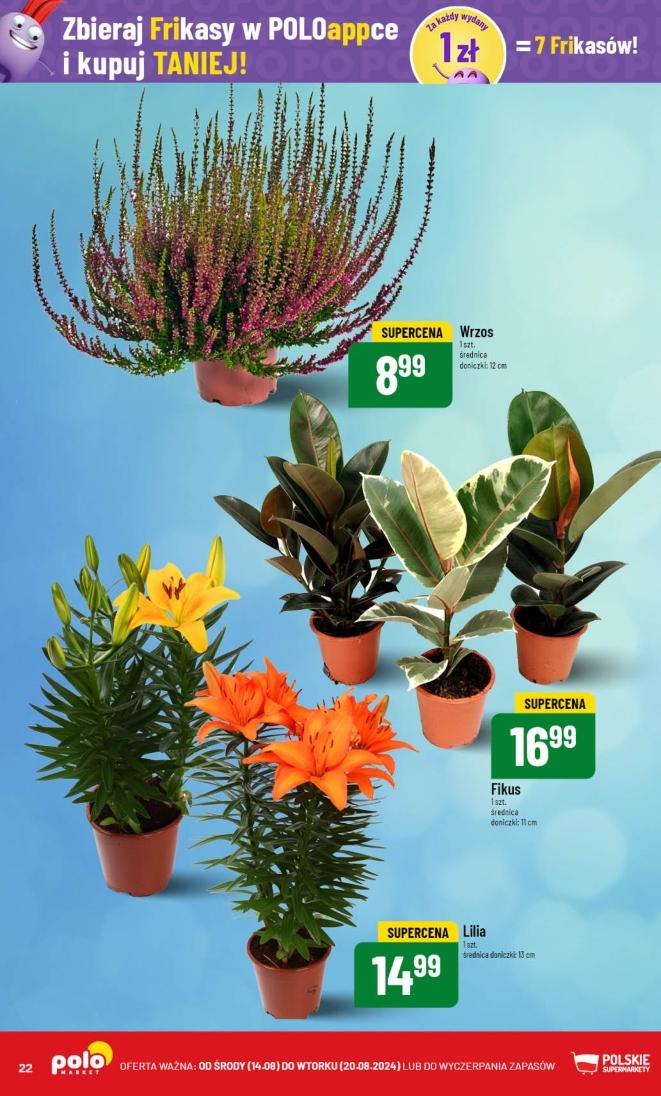 Gazetka promocyjna POLOmarket str. 22