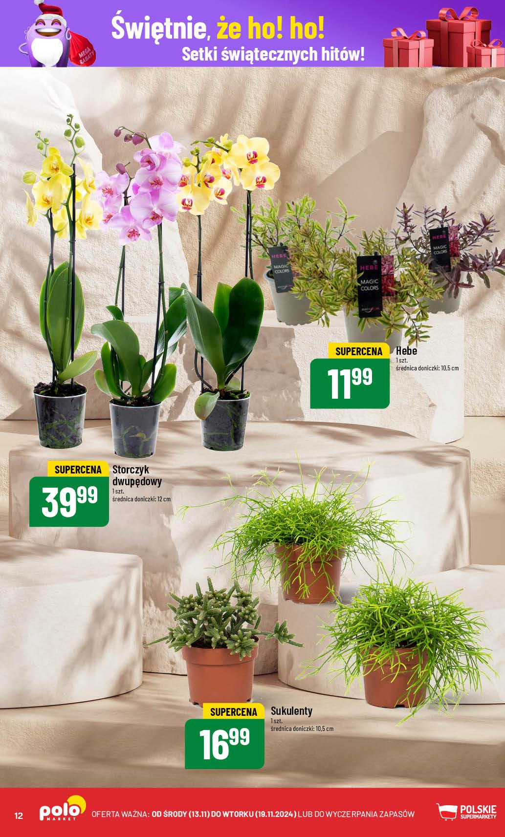 Gazetka promocyjna POLOmarket str. 12