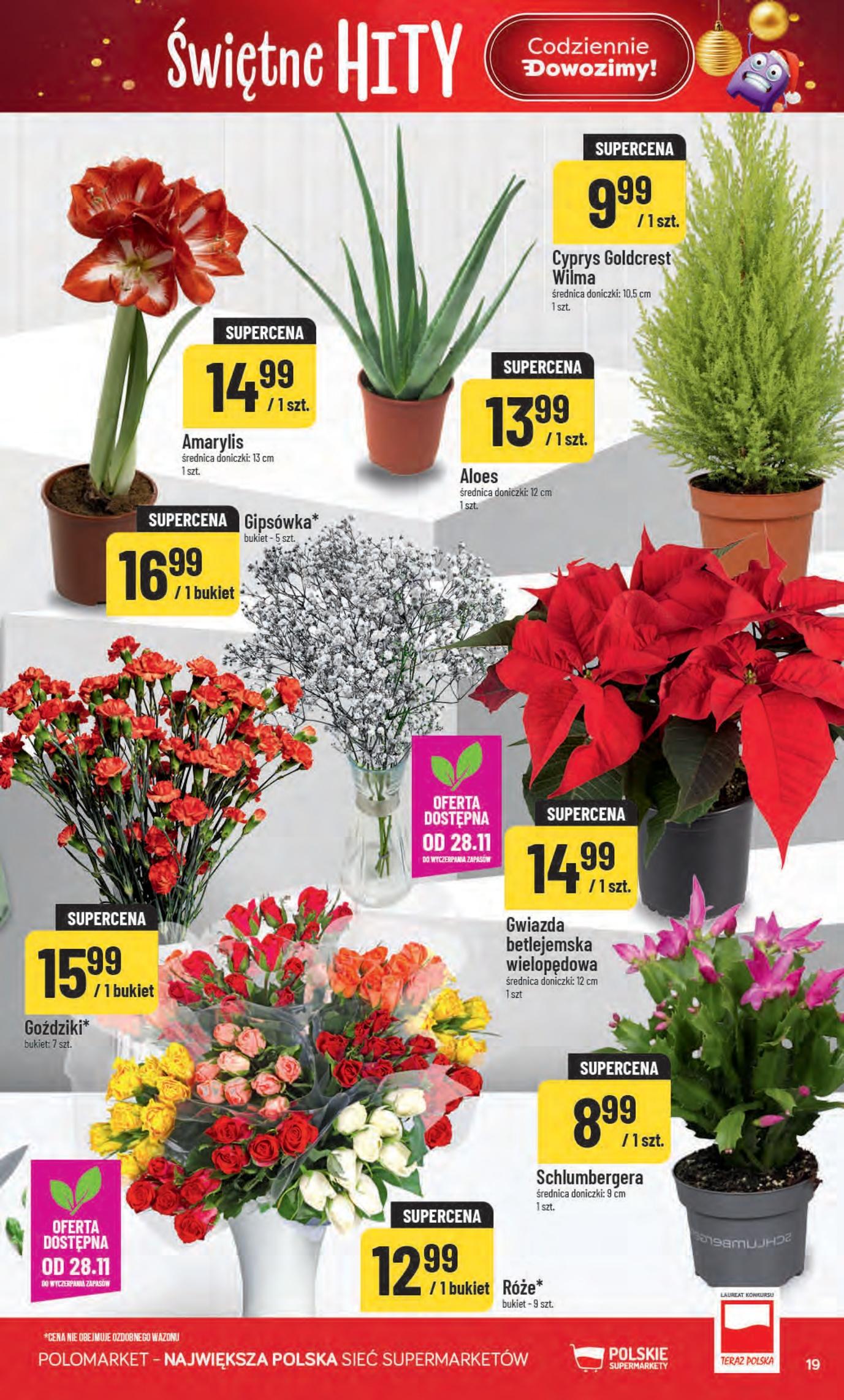 Gazetka promocyjna POLOmarket str. 19