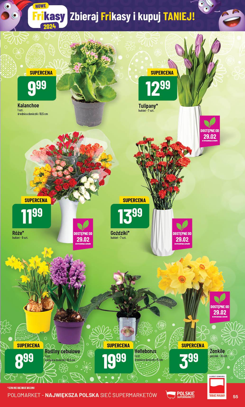 Gazetka promocyjna POLOmarket str. 55