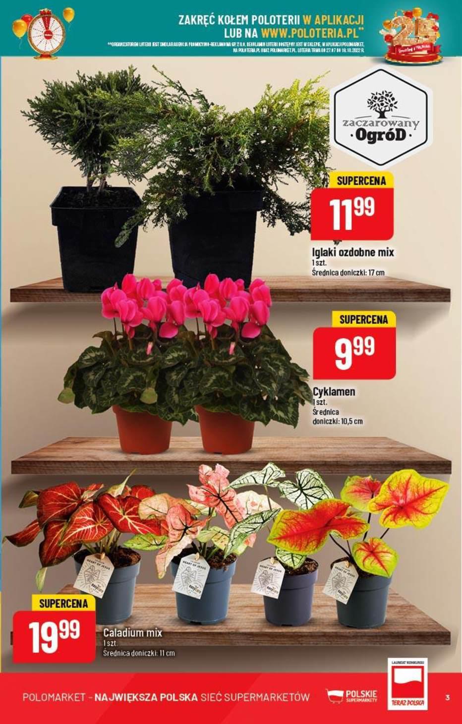 Gazetka promocyjna POLOmarket str. 3