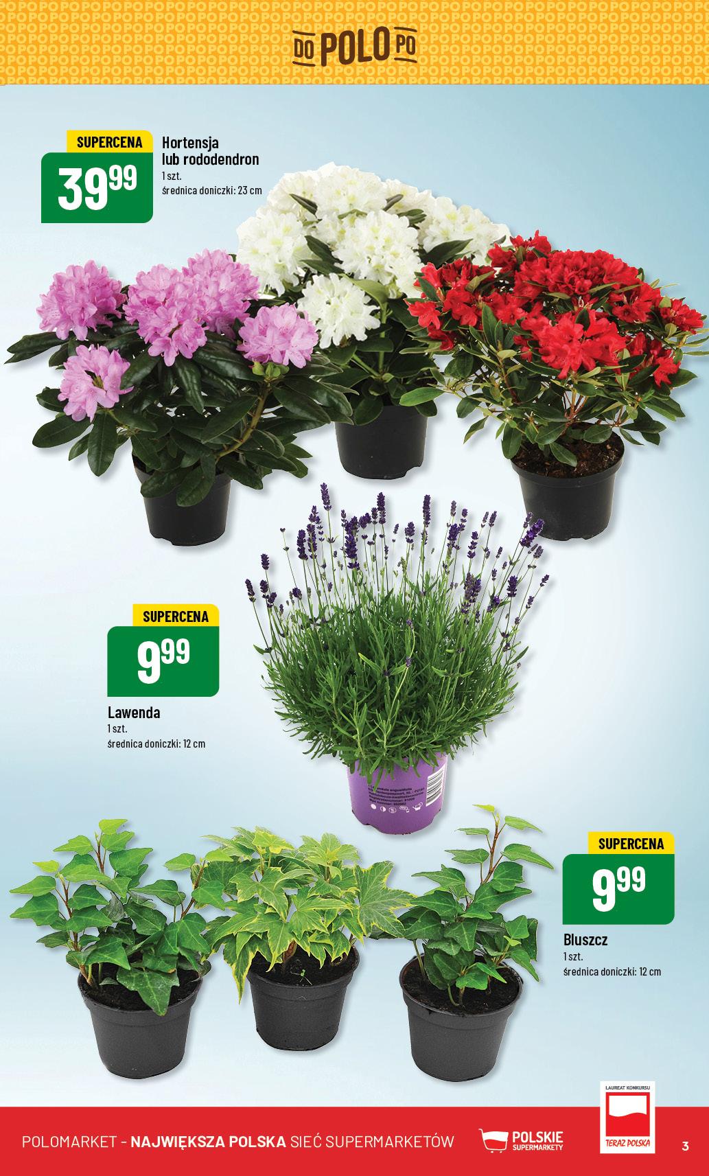 Gazetka promocyjna POLOmarket str. 3