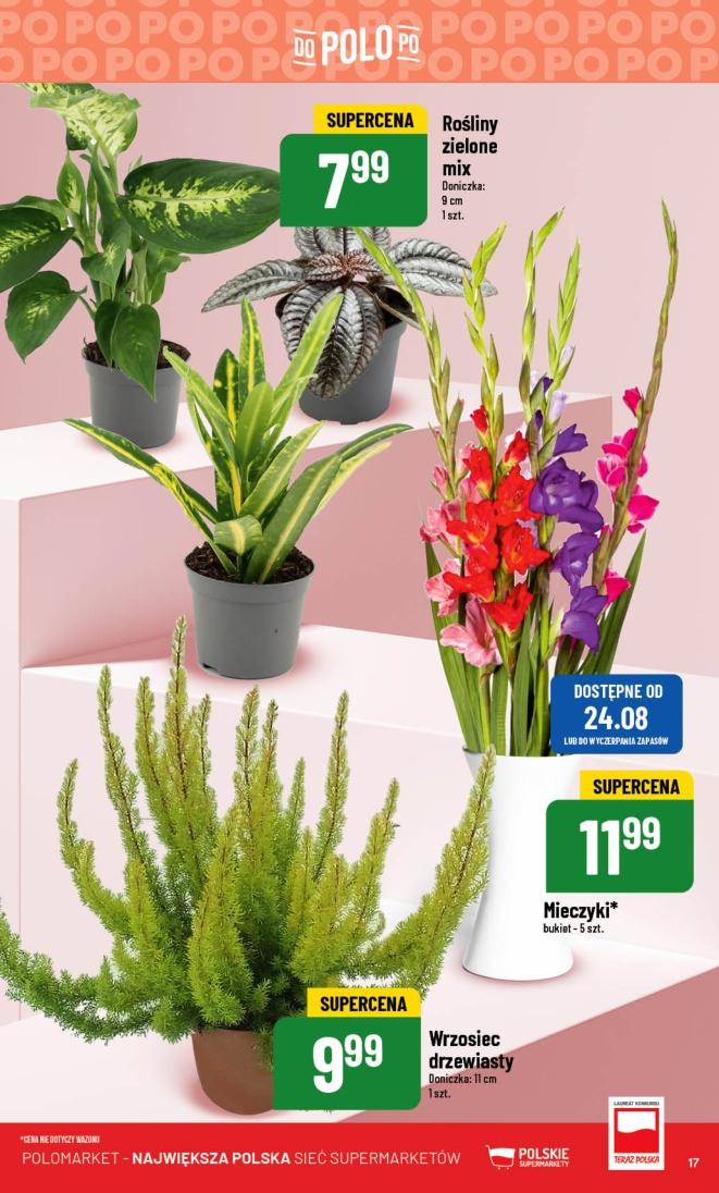 Gazetka promocyjna POLOmarket str. 17