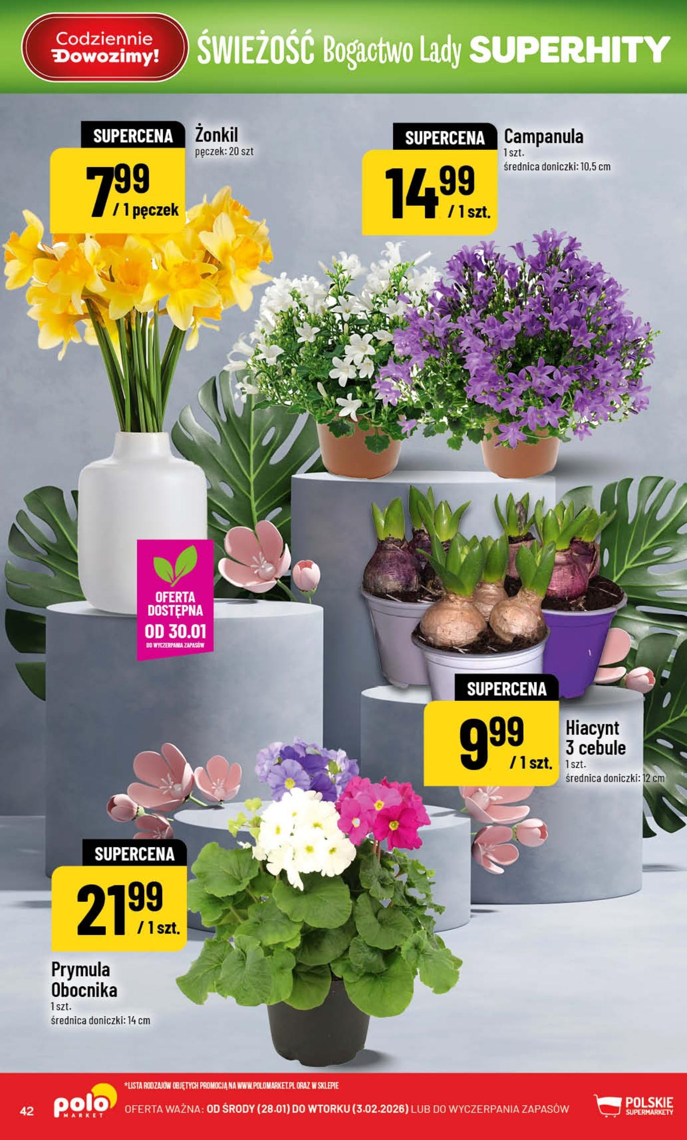 Gazetka promocyjna POLOmarket str. 42