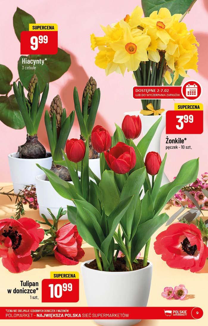 Gazetka promocyjna POLOmarket str. 9