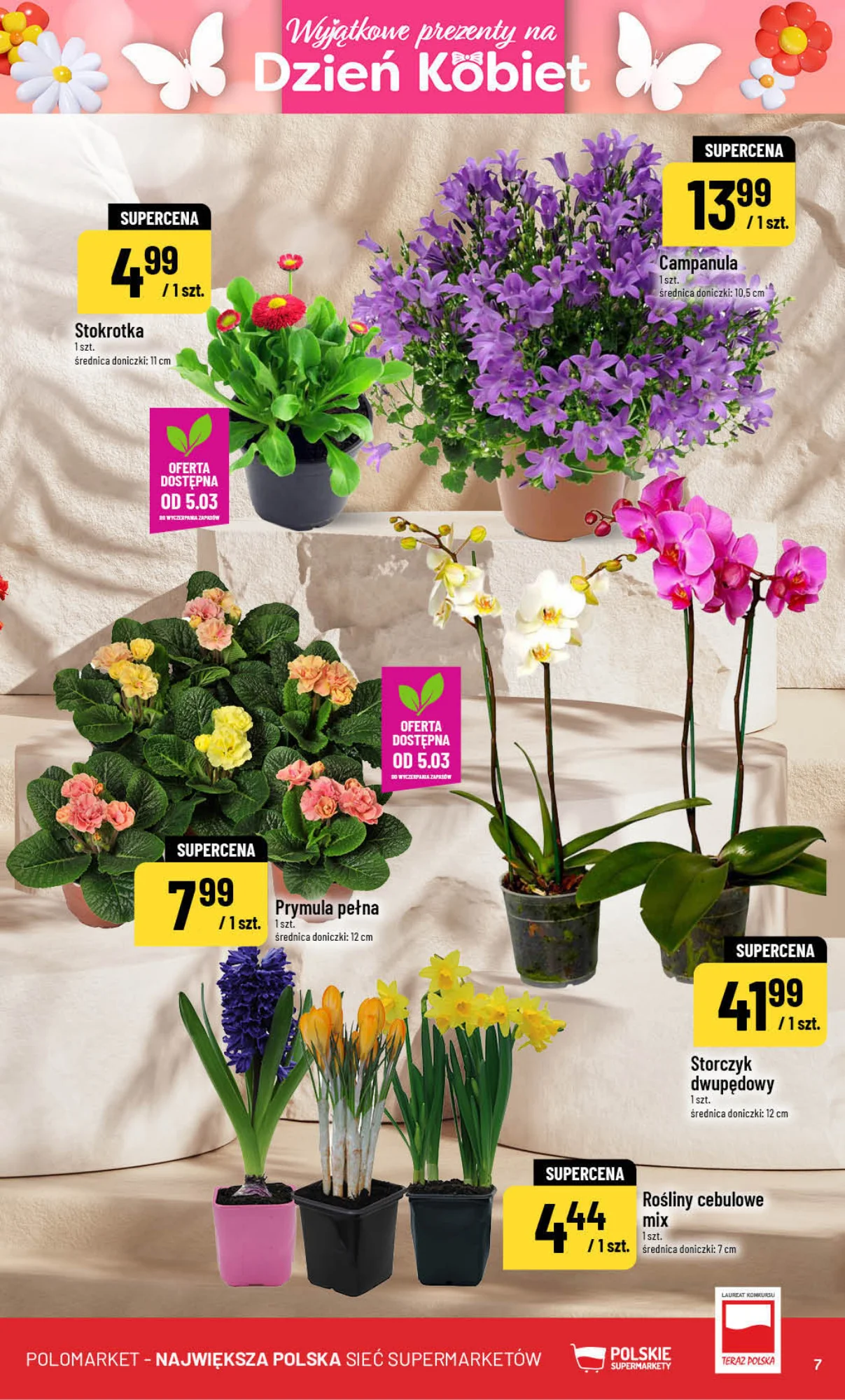 Gazetka promocyjna POLOmarket str. 7