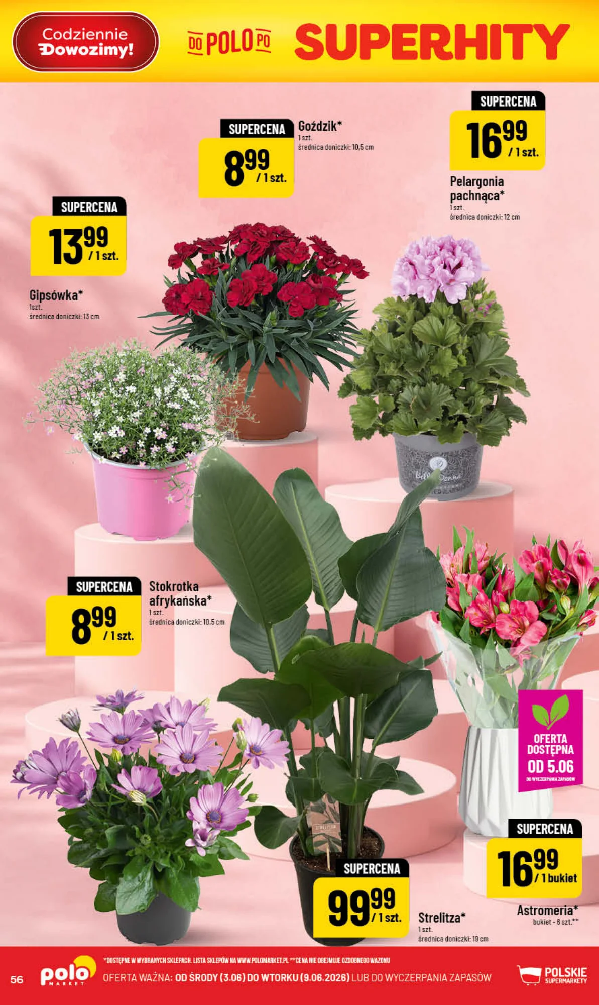Gazetka promocyjna POLOmarket str. 56