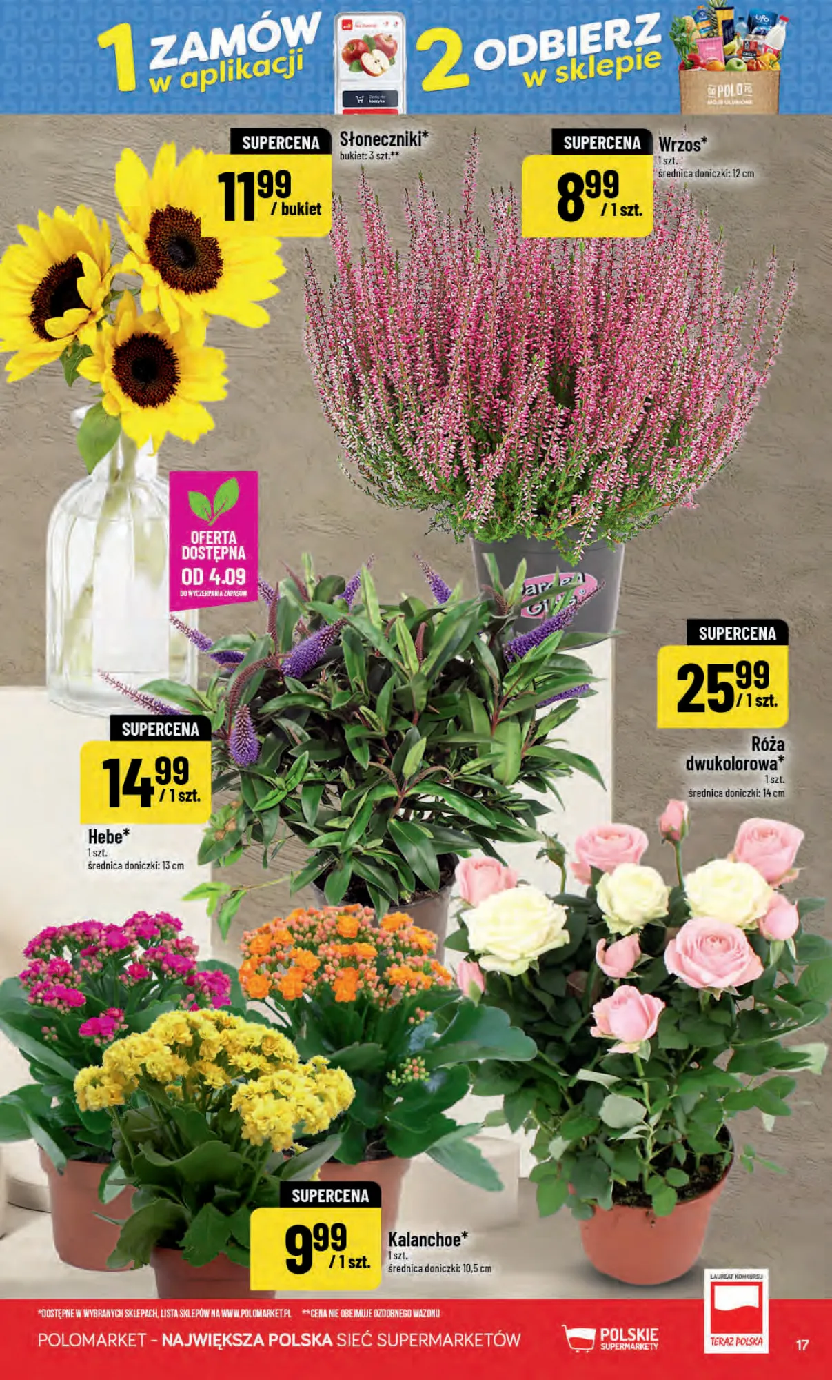 Gazetka promocyjna POLOmarket str. 17