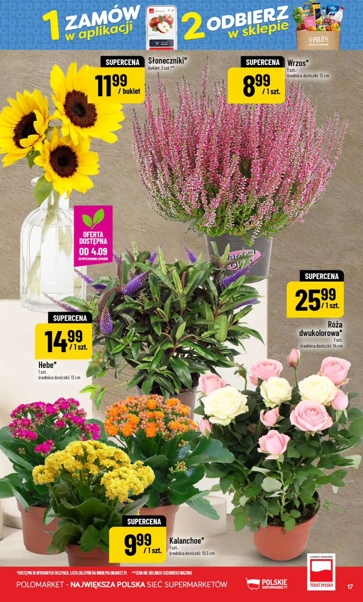 Gazetka promocyjna POLOmarket str. 17