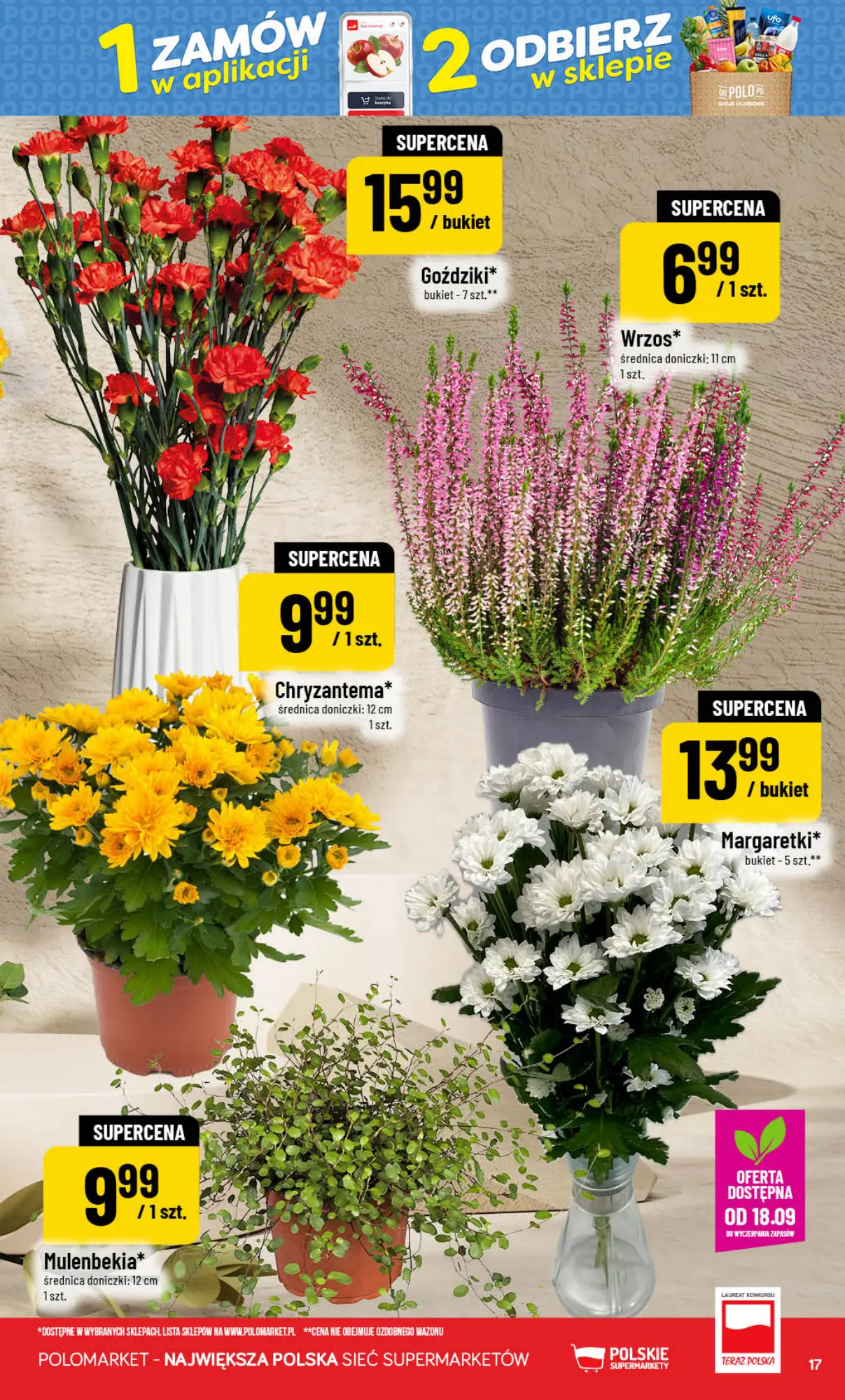 Gazetka promocyjna POLOmarket str. 17
