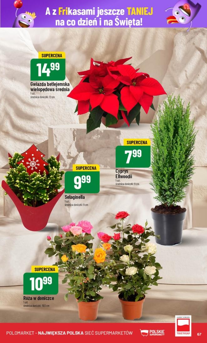 Gazetka promocyjna POLOmarket str. 67