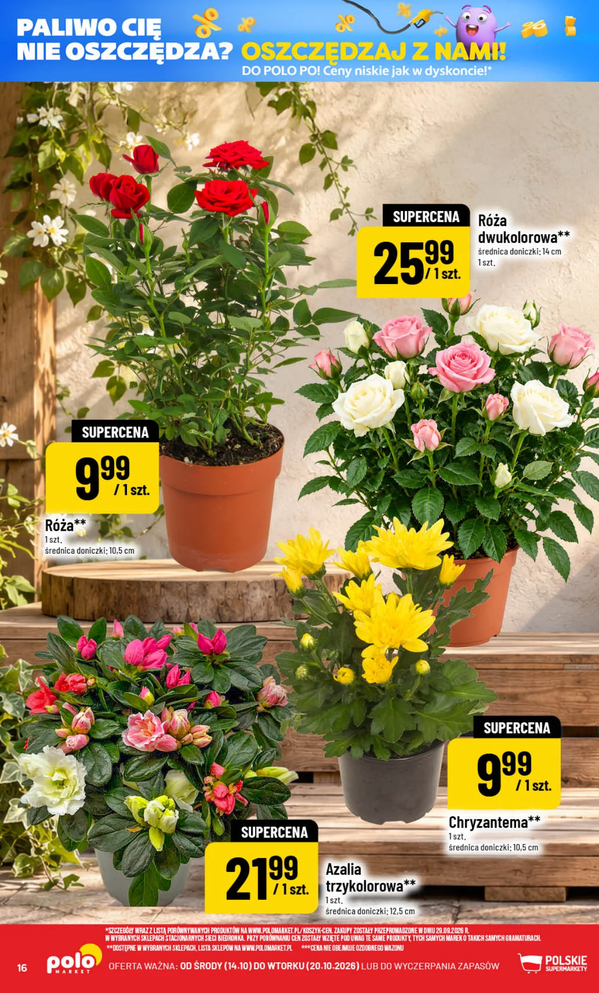 Gazetka promocyjna POLOmarket str. 16