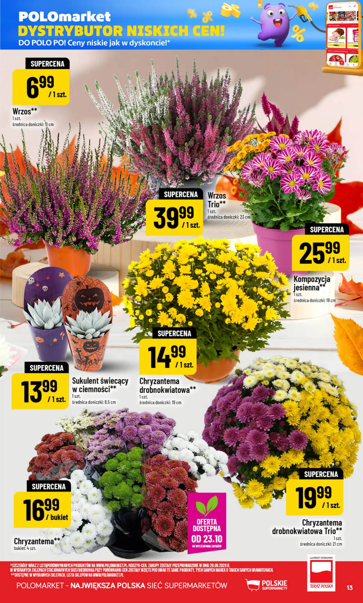 Gazetka promocyjna POLOmarket str. 13