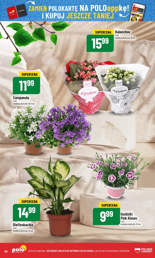 Gazetka promocyjna POLOmarket str. 60