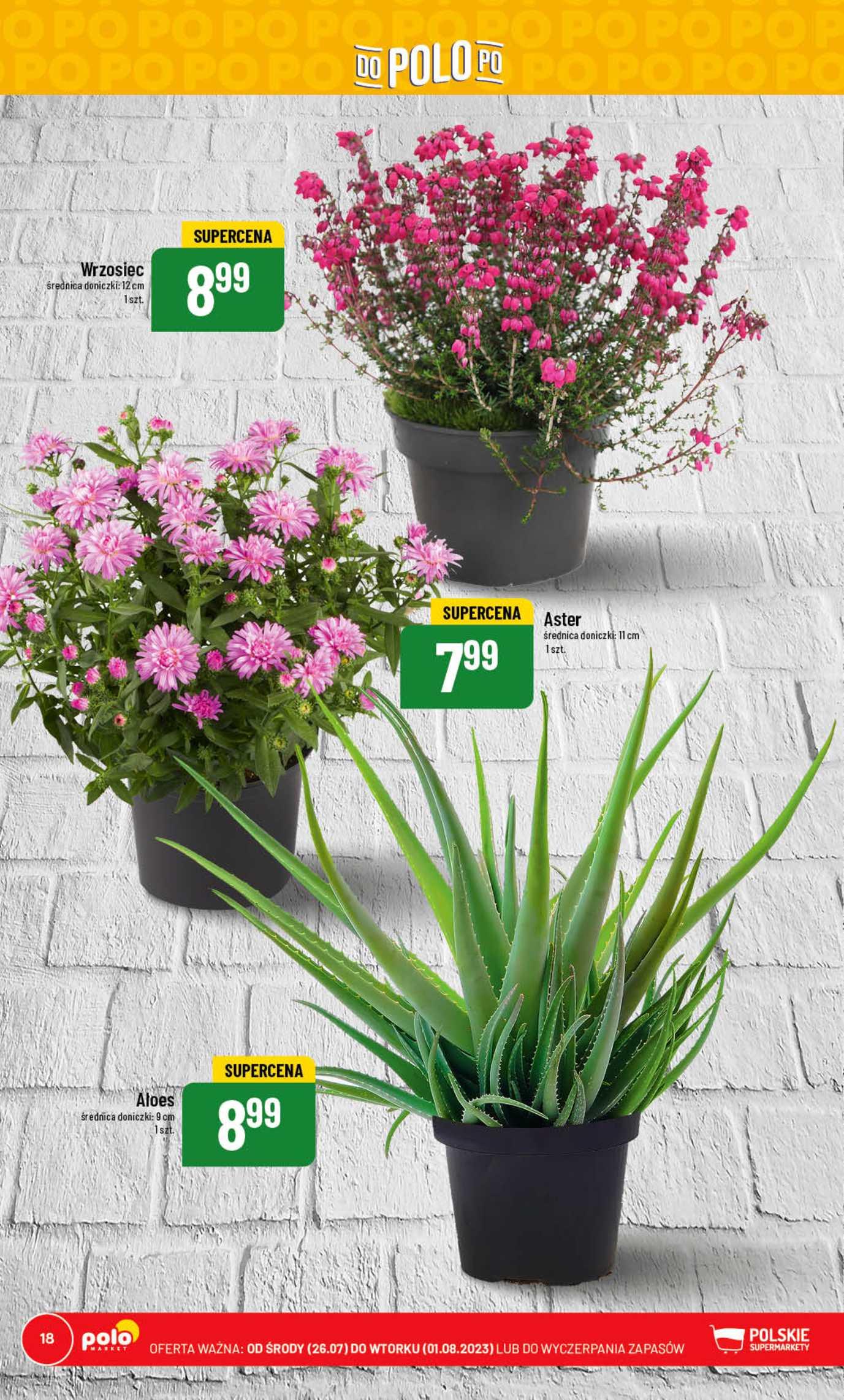 Gazetka promocyjna POLOmarket str. 18