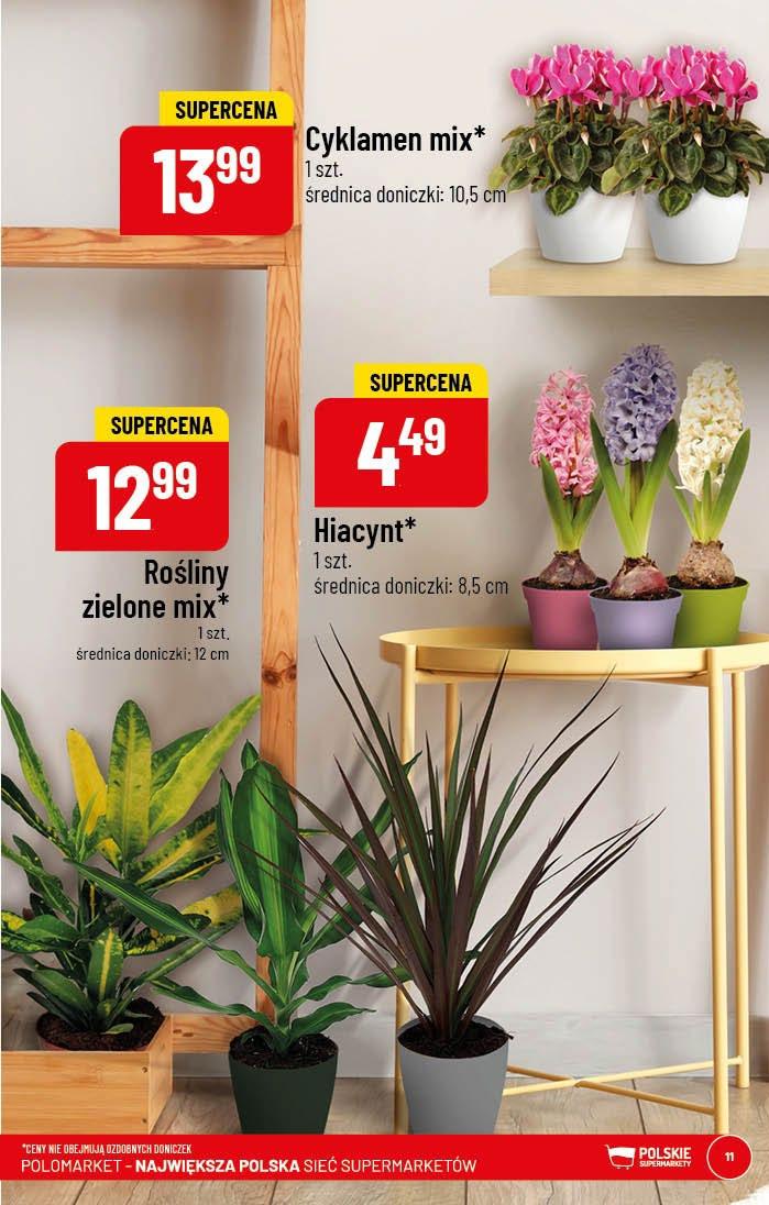 Gazetka promocyjna POLOmarket str. 11