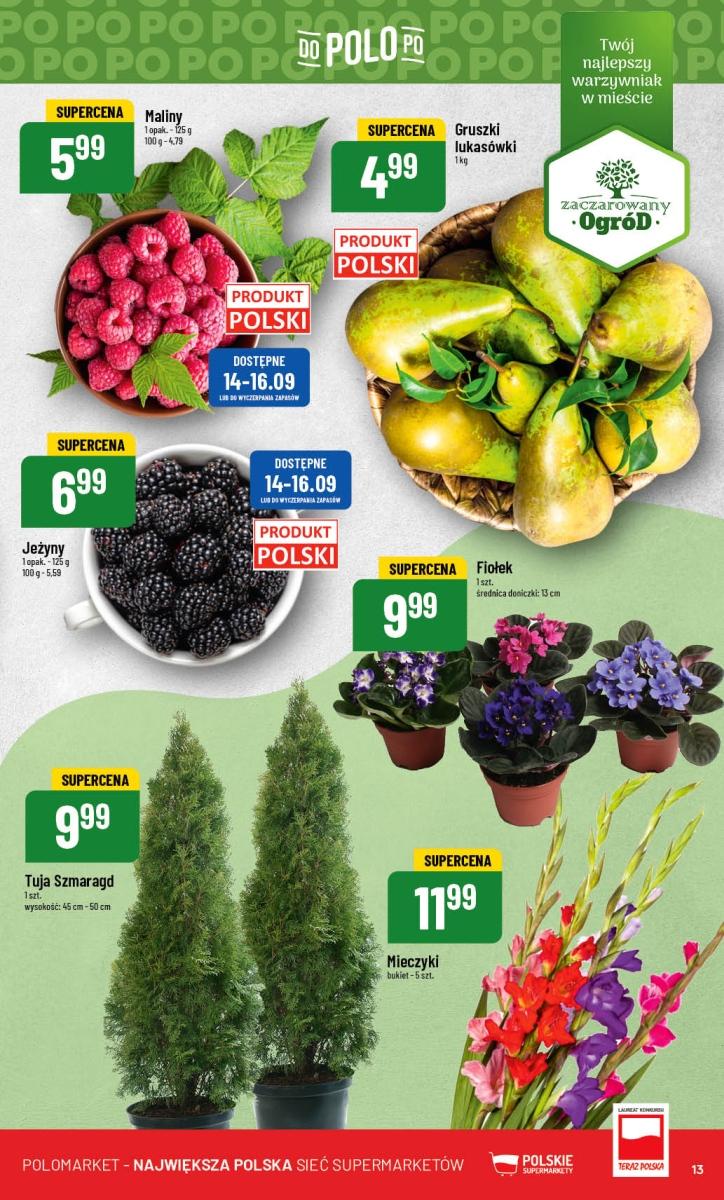 Gazetka promocyjna POLOmarket str. 13