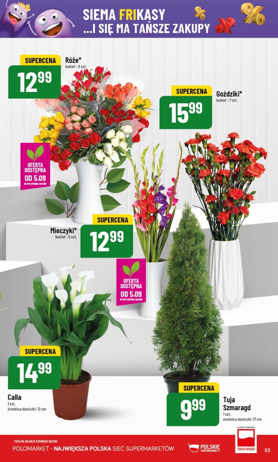 Gazetka promocyjna POLOmarket str. 33