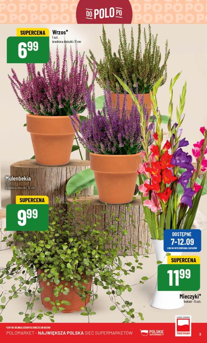 Gazetka promocyjna POLOmarket str. 3