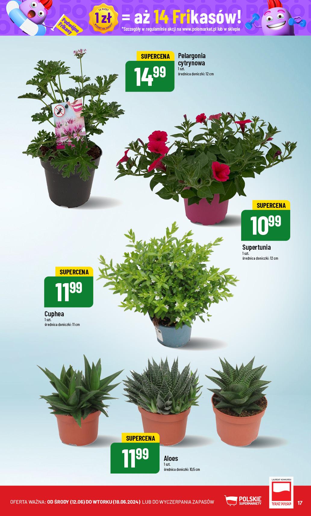 Gazetka promocyjna POLOmarket str. 17